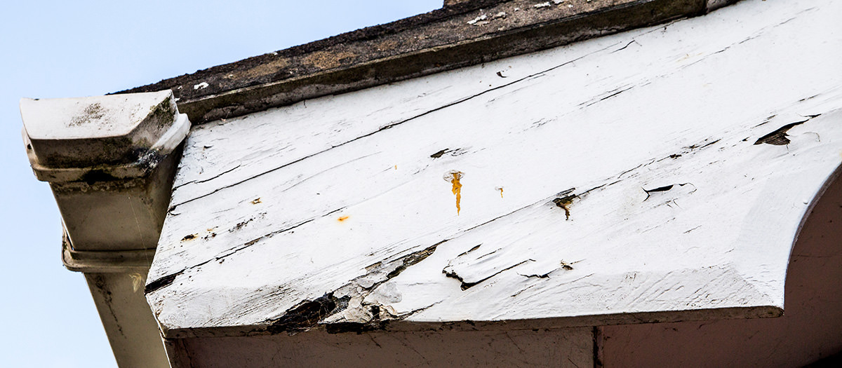Flaking paint on the exterior of a house